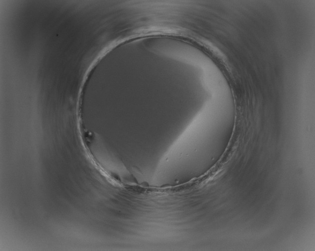 X0000073391373200608180952