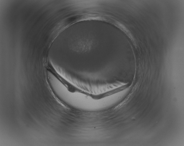 X0000073391377200608180952