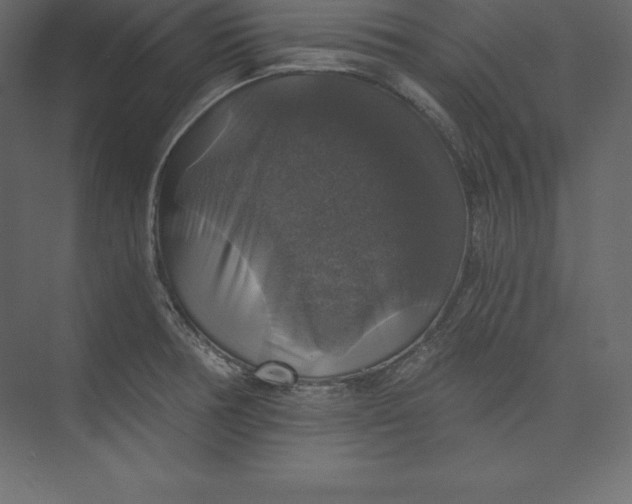 X0000073391378200608180952