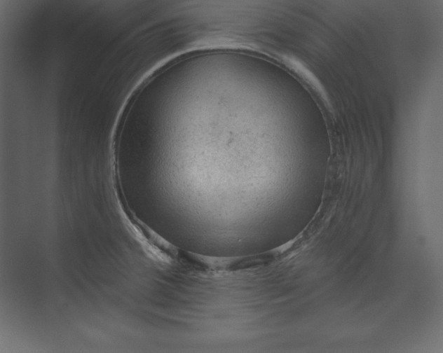 X0000073391380200608180952