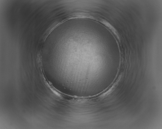 X0000073391385200608180952