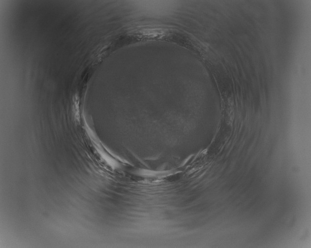 X0000073391394200608180951