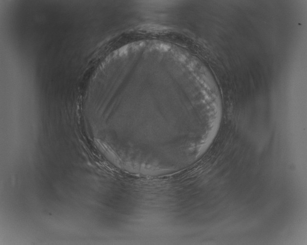 X0000073391397200608180951