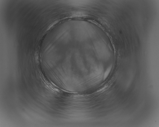 X0000073391401200608180951