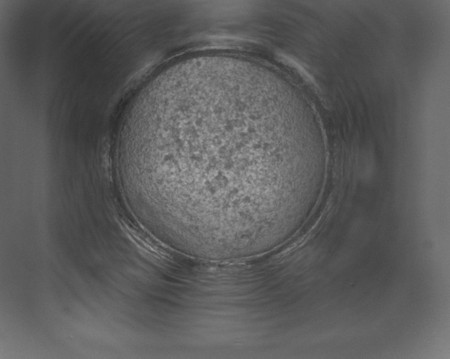 X0000073391403200608180951