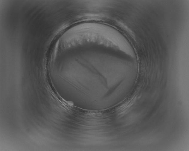 X0000073391411200608180951