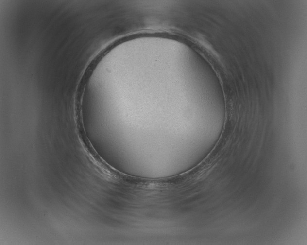 X0000073391412200608180951