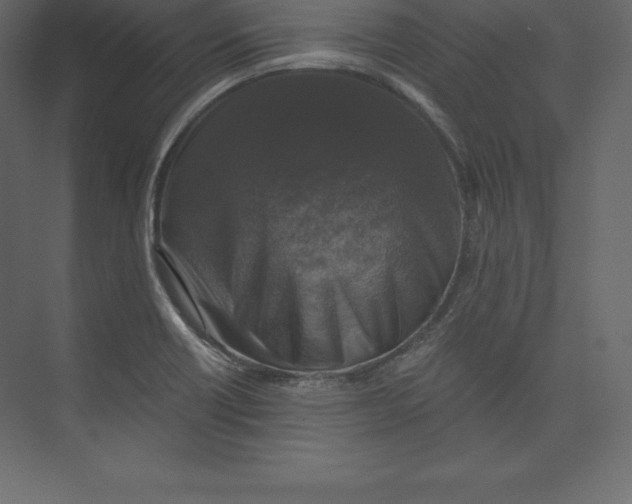 X0000073391418200608180951