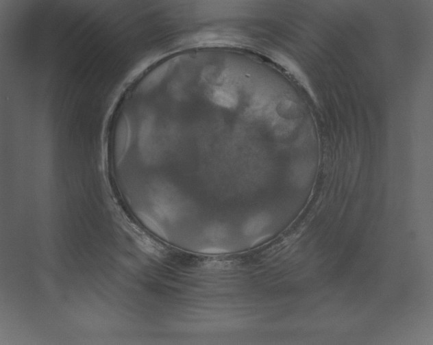 X0000073391419200608180952