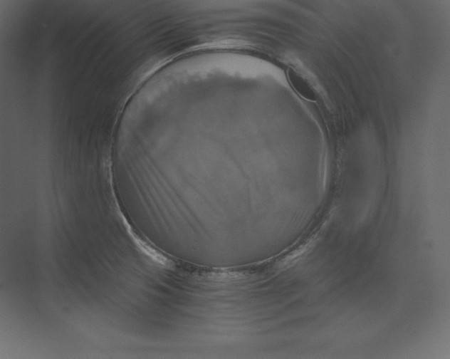 X0000073391425200608180952