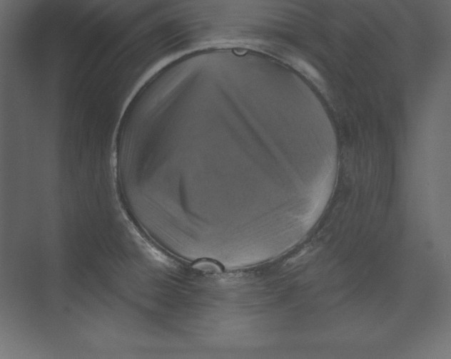 X0000073391428200608180952