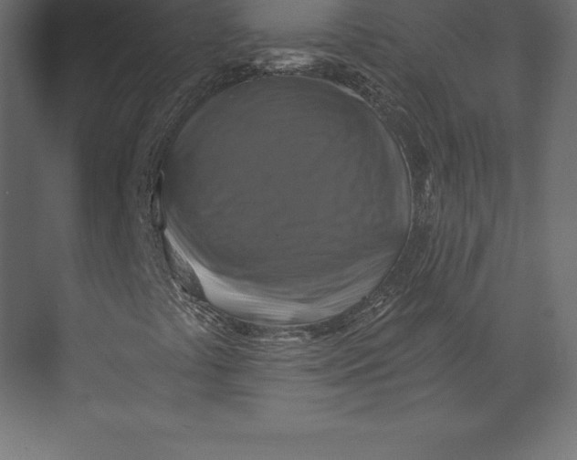 X0000073391441200608180951