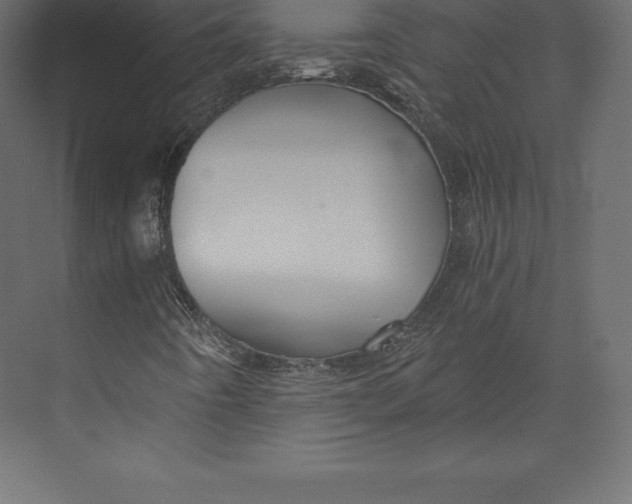 X0000073391442200608180951