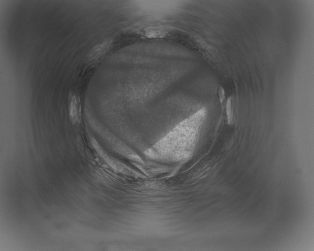 X0000073391443200608180951