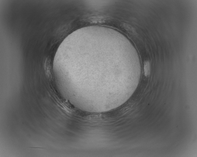 X0000073391444200608180951