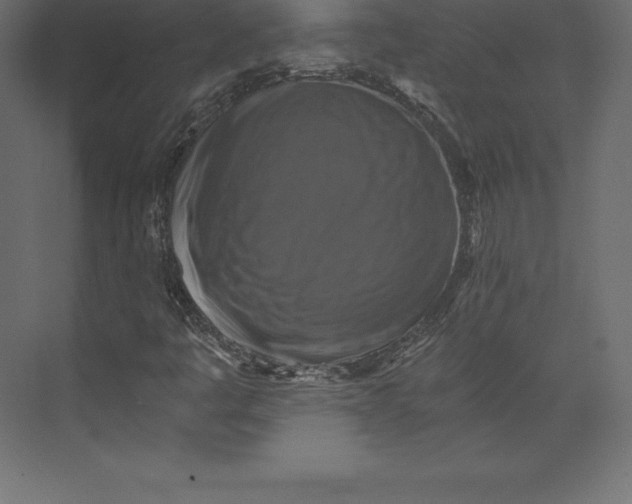 X0000073391445200608180951