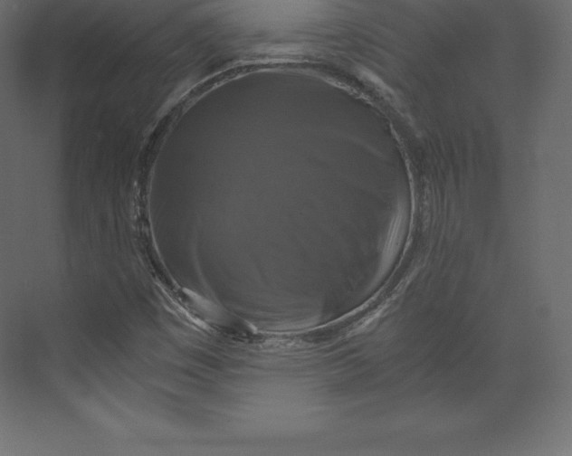 X0000073391449200608180951