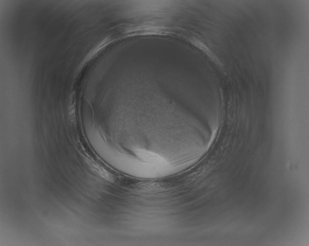 X0000073391450200608180951