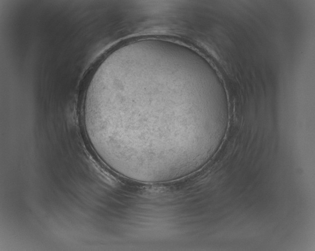 X0000073391452200608180951