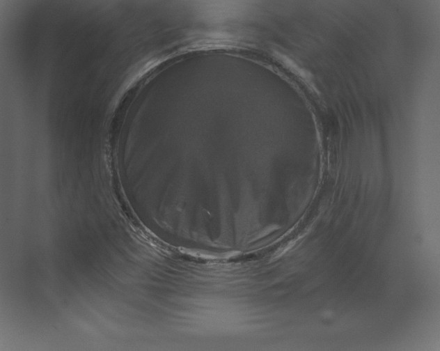 X0000073391453200608180951
