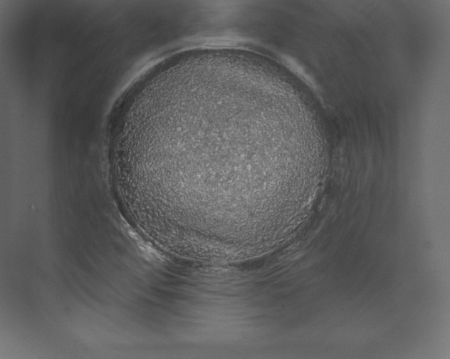 X0000073391456200608180951