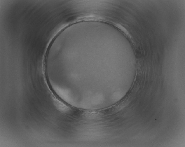 X0000073391474200608180950