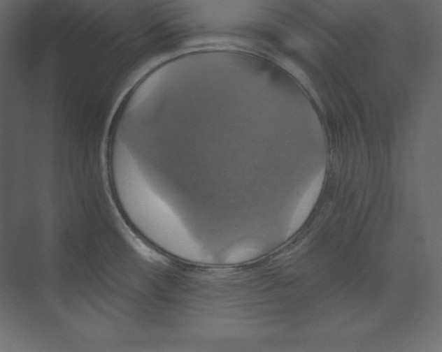X0000073391482200608180950