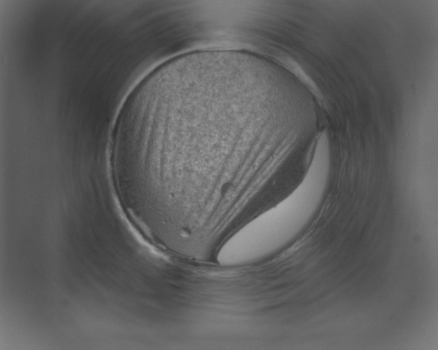 X0000073391484200608180950