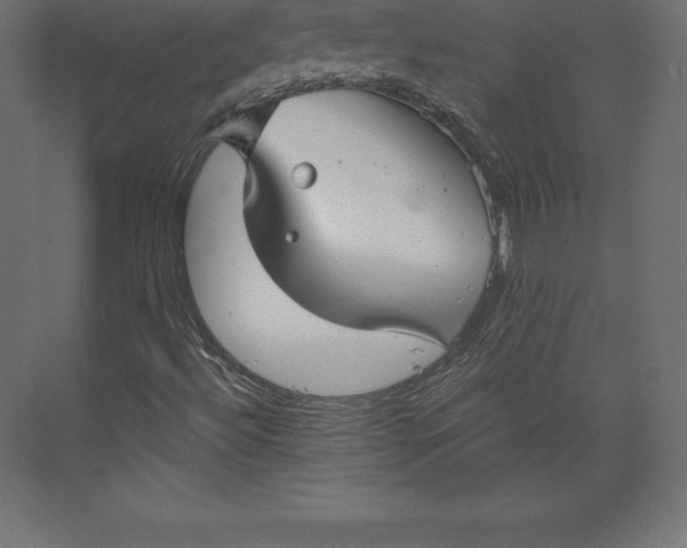 X0000073391492200608180950
