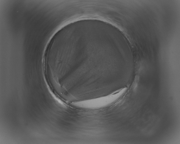 X0000073391519200608180950