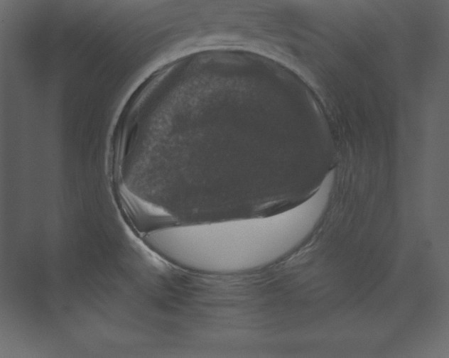 X0000073391527200608180950
