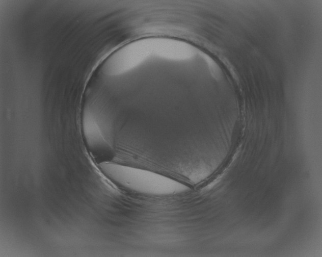 X0000073391529200608180950