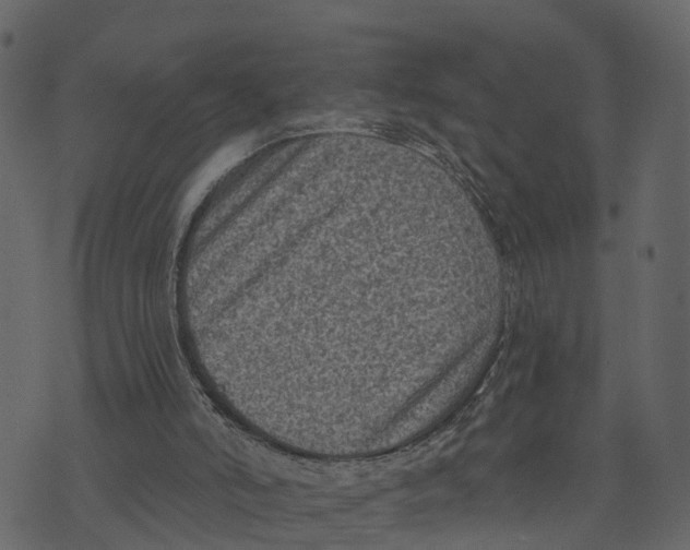 X0000073390006200608251446