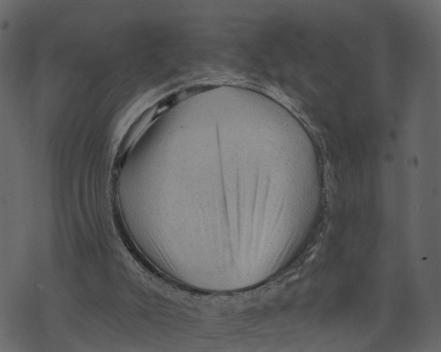 X0000073390007200608251446