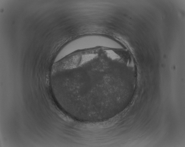 X0000073390017200608251445