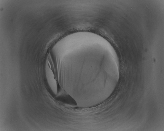 X0000073390019200608251445