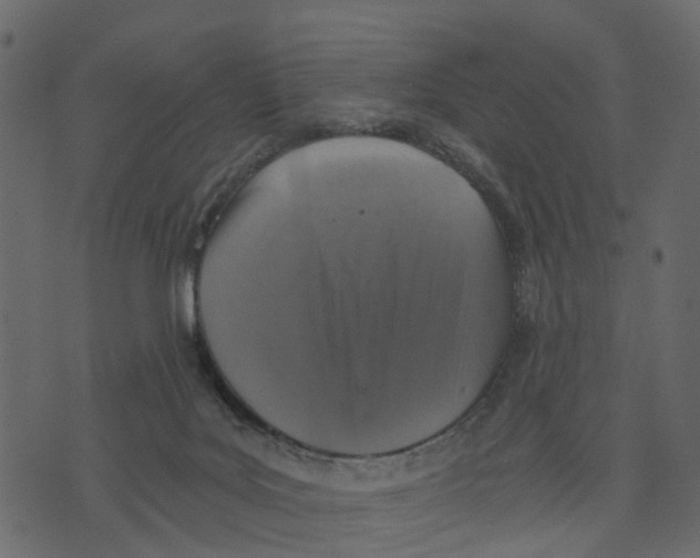 X0000073390027200608251445