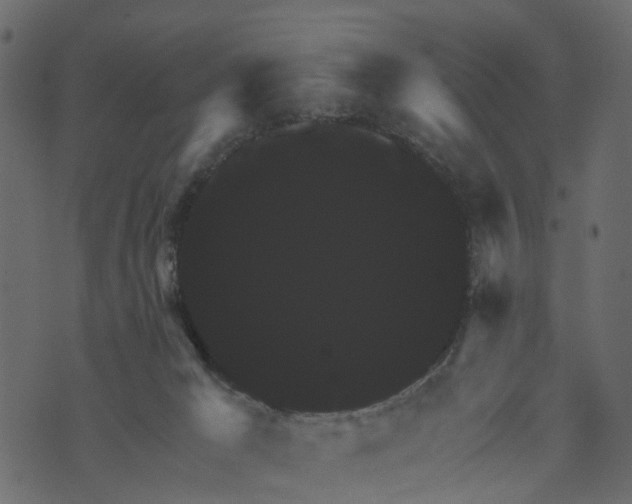 X0000073390029200608251445