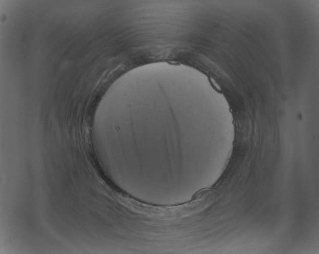 X0000073390035200608251445