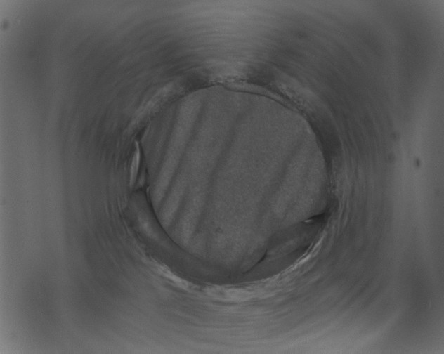 X0000073390041200608251445