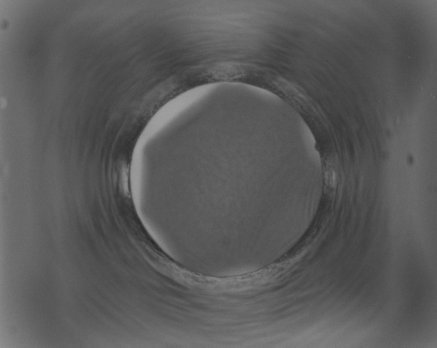 X0000073390046200608251445