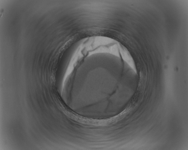 X0000073390048200608251445