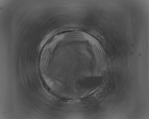 X0000073390051200608251444