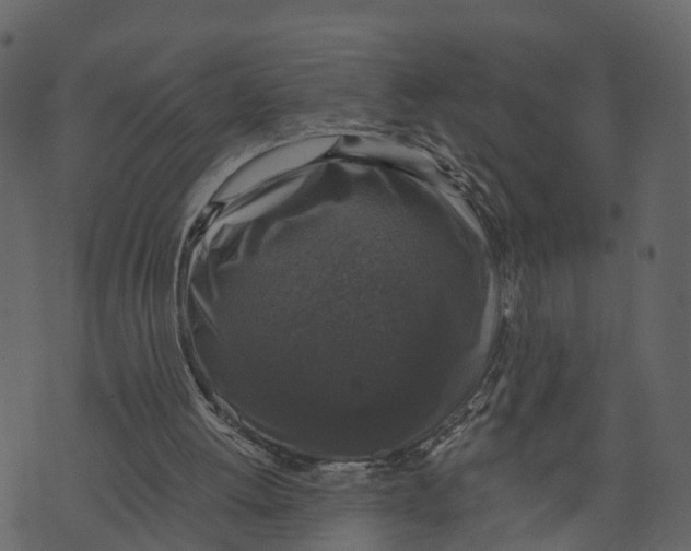 X0000073390052200608251444