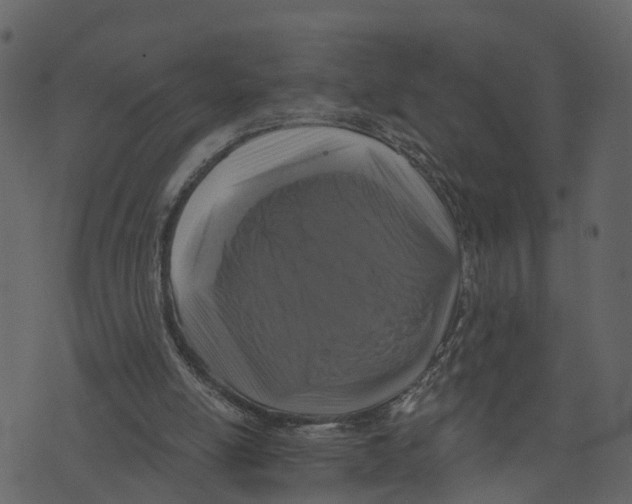 X0000073390054200608251444