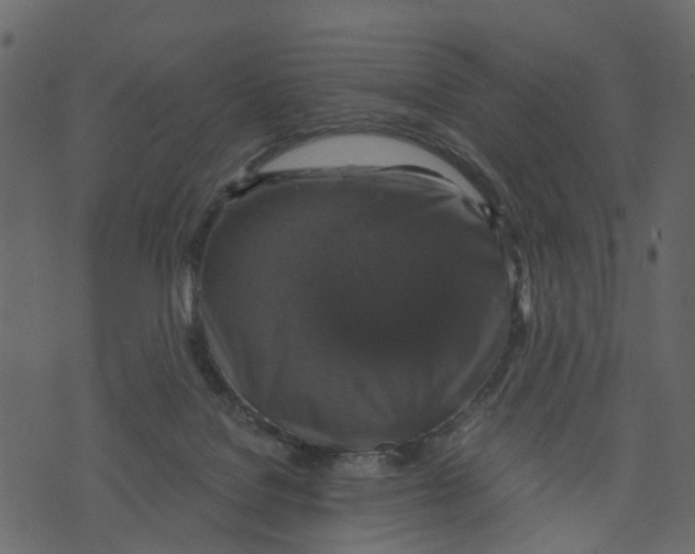 X0000073390076200608251445