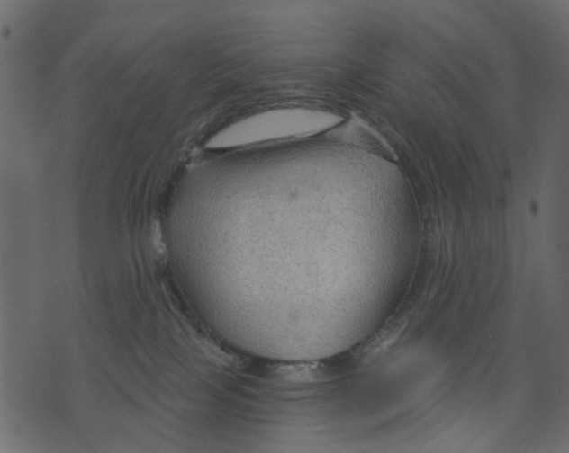 X0000073390089200608251445