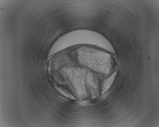 X0000073390093200608251445