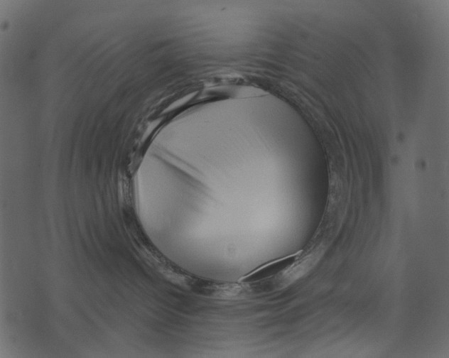 X0000073390096200608251445