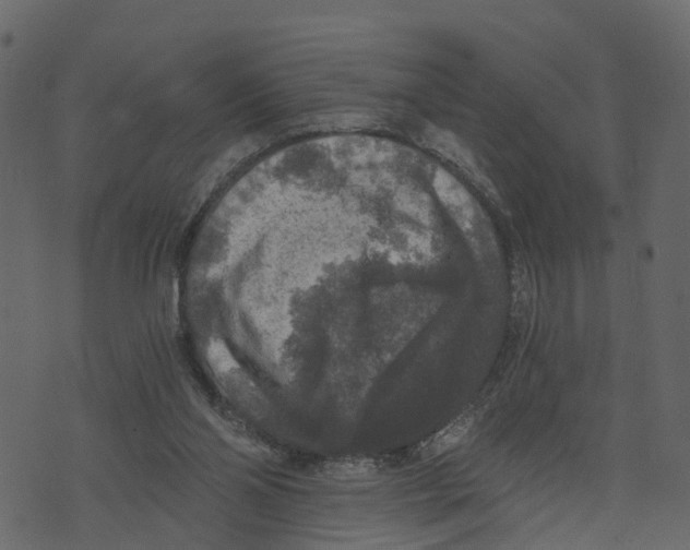 X0000073390110200608251444